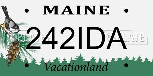 242IDA Maine License Plate