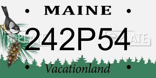 242P54 Maine License Plate