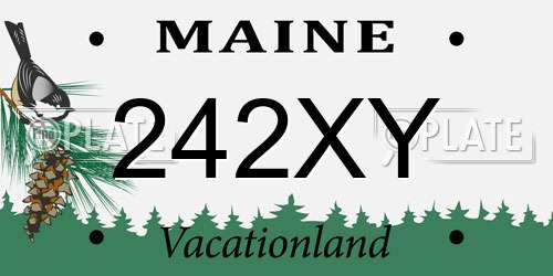 242XY Maine License Plate