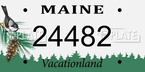 24482 Maine License Plate