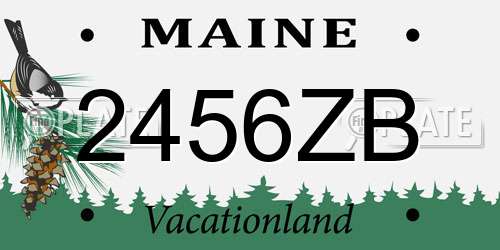 2456ZB Maine License Plate