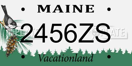 2456ZS Maine License Plate