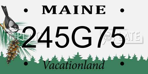 245G75 Maine License Plate