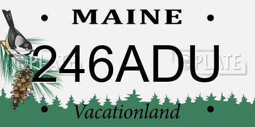 246ADU Maine License Plate