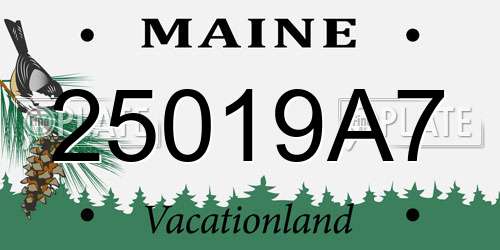 25019A7 Maine License Plate