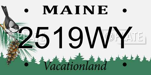 2519WY Maine License Plate