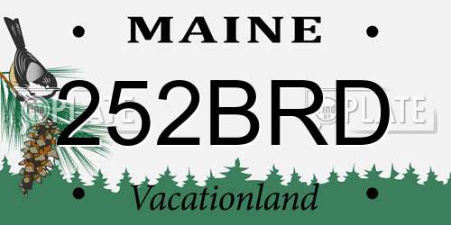 252BRD Maine License Plate