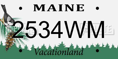 2534WM Maine License Plate