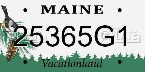 25365G1 Maine License Plate