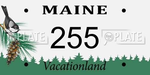 255 Maine License Plate