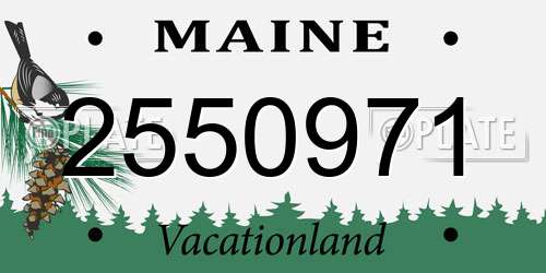 2550971 Maine License Plate