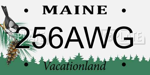 256AWG Maine License Plate