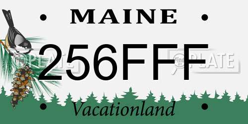 256FFF Maine License Plate