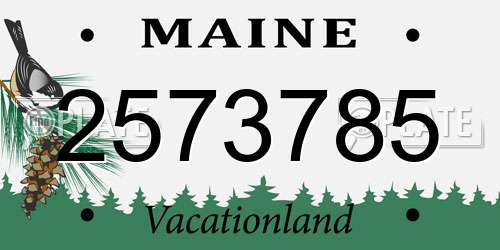 2573785 Maine License Plate