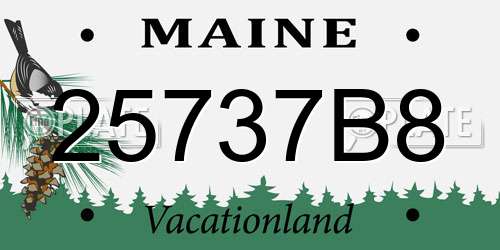 25737B8 Maine License Plate