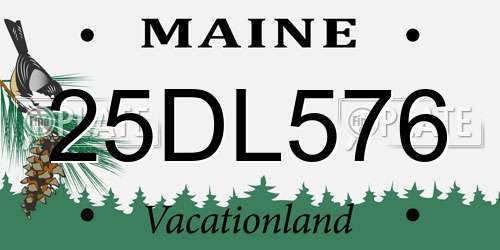 25DL576 Maine License Plate