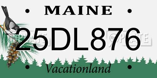 25DL876 Maine License Plate