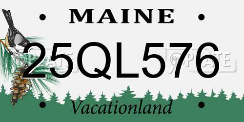 25QL576 Maine License Plate