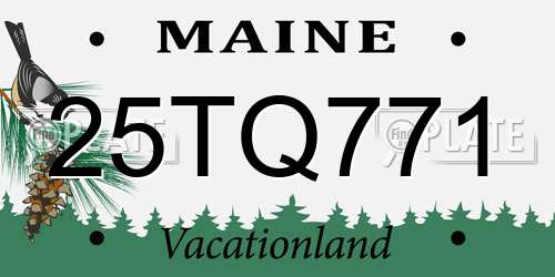 25TQ771 Maine License Plate
