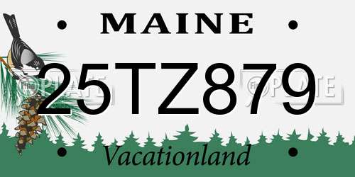 25TZ879 Maine License Plate
