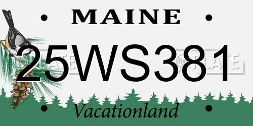 25WS381 Maine License Plate