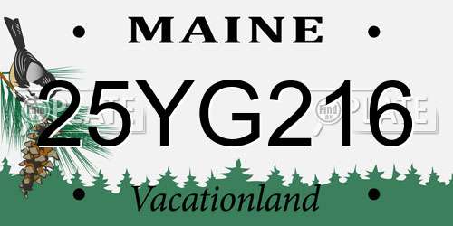 25YG216 Maine License Plate