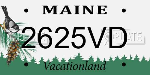 2625VD Maine License Plate