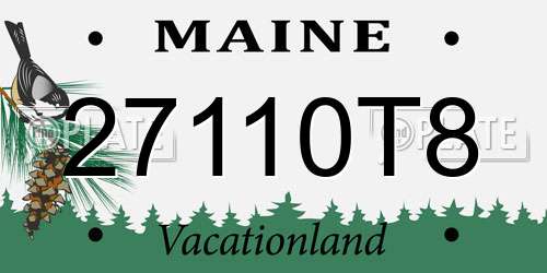27110T8 Maine License Plate
