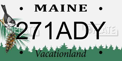 271ADY Maine License Plate