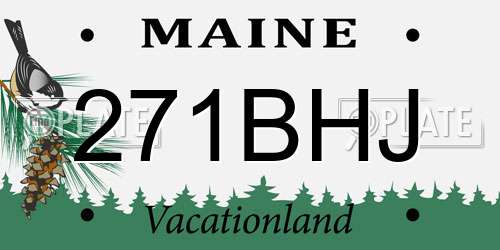 271BHJ Maine License Plate