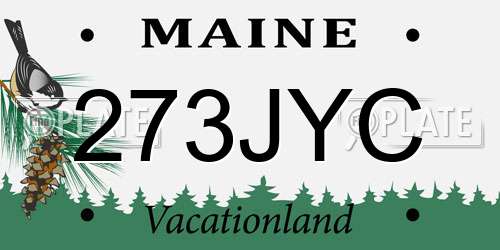 273JYC Maine License Plate