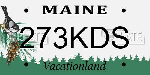 273KDS Maine License Plate