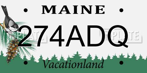 274ADQ Maine License Plate