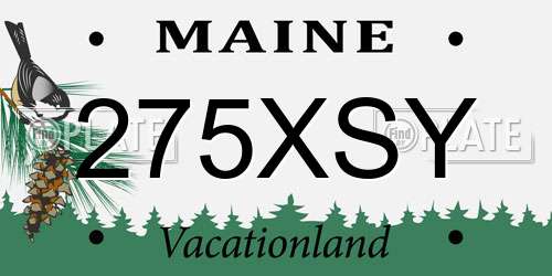 275XSY Maine License Plate