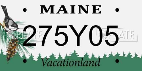 275Y05 Maine License Plate