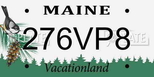 276VP8 Maine License Plate