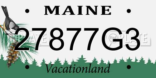 27877G3 Maine License Plate