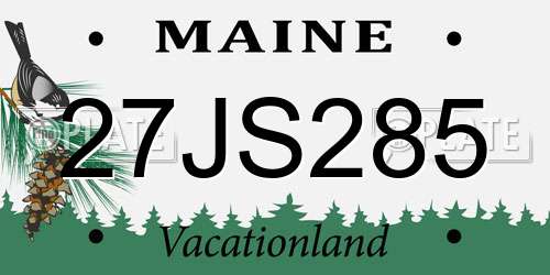 27JS285 Maine License Plate