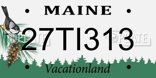 27TI313 Maine License Plate