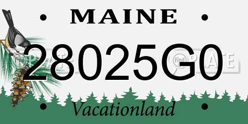 28025G0 Maine License Plate