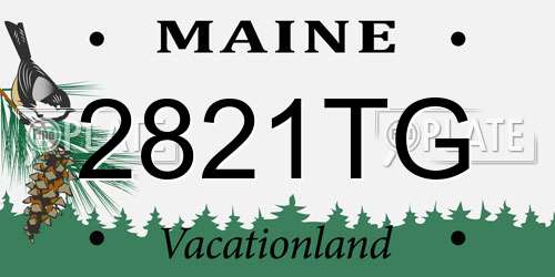 2821TG Maine License Plate
