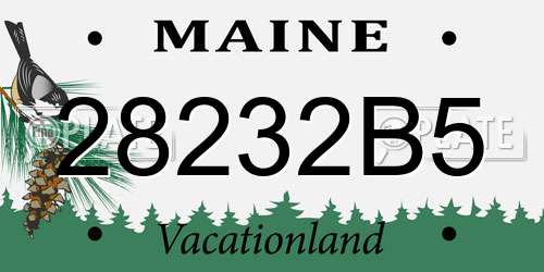 28232B5 Maine License Plate