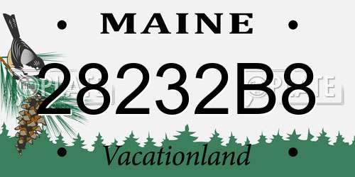 28232B8 Maine License Plate