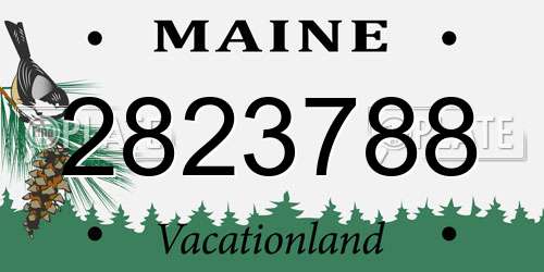 2823788 Maine License Plate