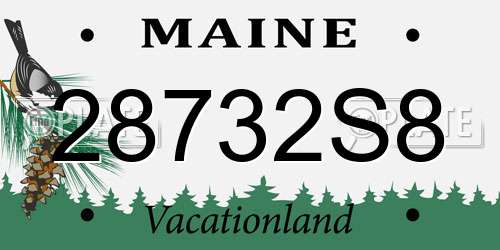 28732S8 Maine License Plate