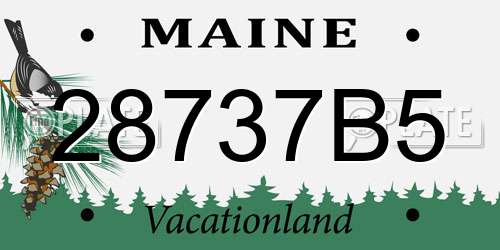 28737B5 Maine License Plate