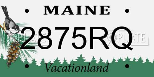 2875RQ Maine License Plate