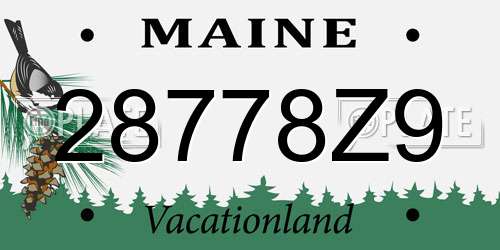 28778Z9 Maine License Plate
