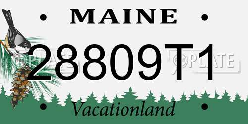 28809T1 Maine License Plate