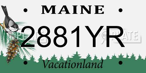 2881YR Maine License Plate